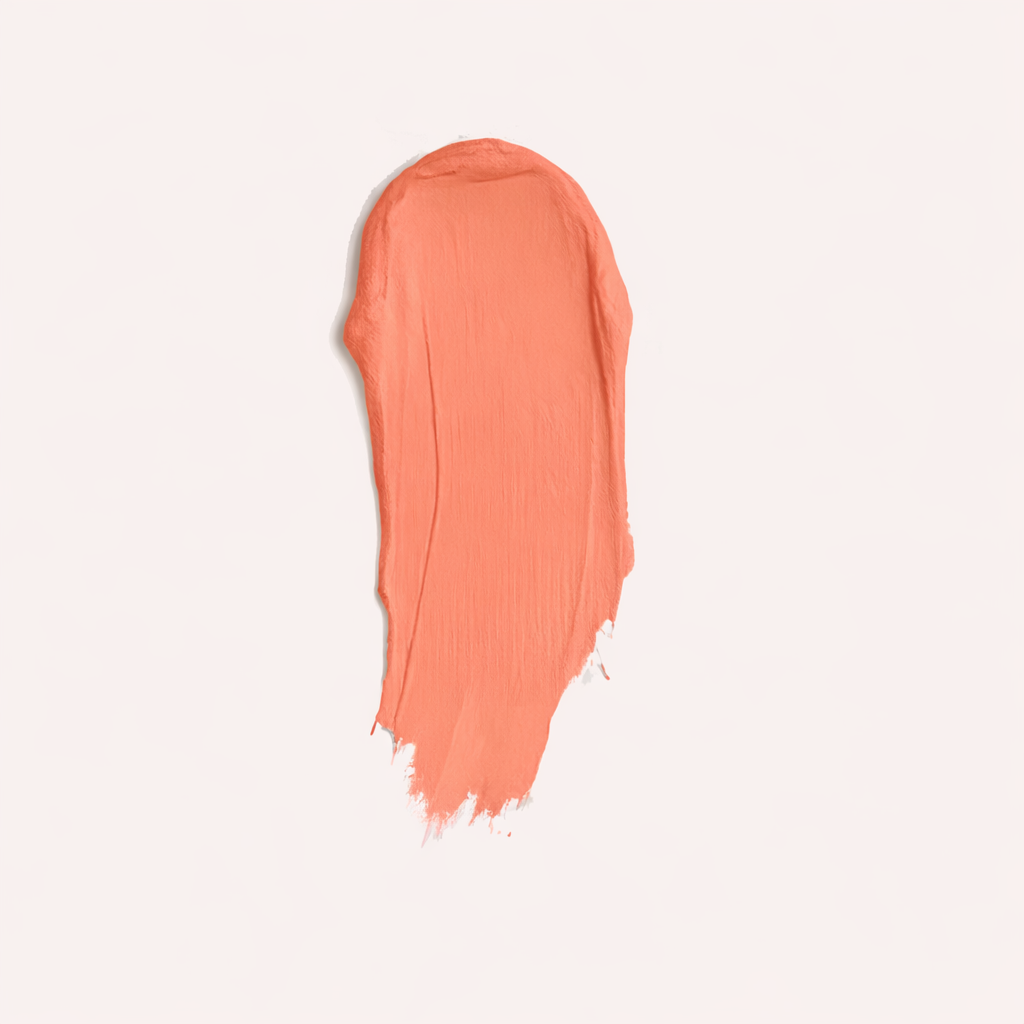 CURVE HIM LIP KIT